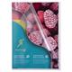 268135 Exacompta56120E Plastomslag EXACOMPTA A4 120my klar (10) 