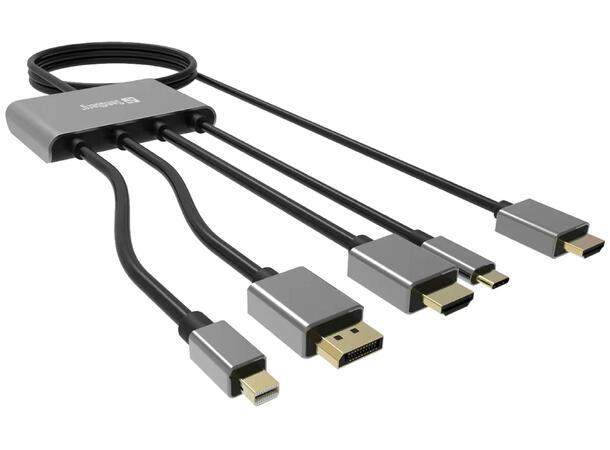 Sandberg All-In-1 Display Adapter Hub All-In-1 Display Adapter Hub 
