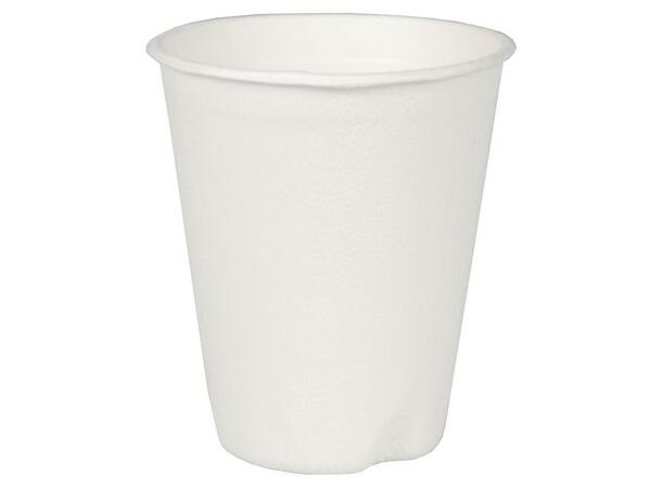 Termobeger PURE 20 cl (12) 