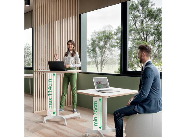 Skrivebord LEITZ hev/senk hvit Fullergonomisk sitt- & ståbord | Manuell 