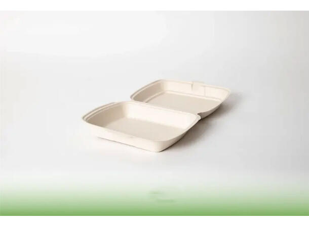 NoiBio matboks bagasse 1-rom 23 x 20,5 x 6,75 cm | 200 stk pr eske 