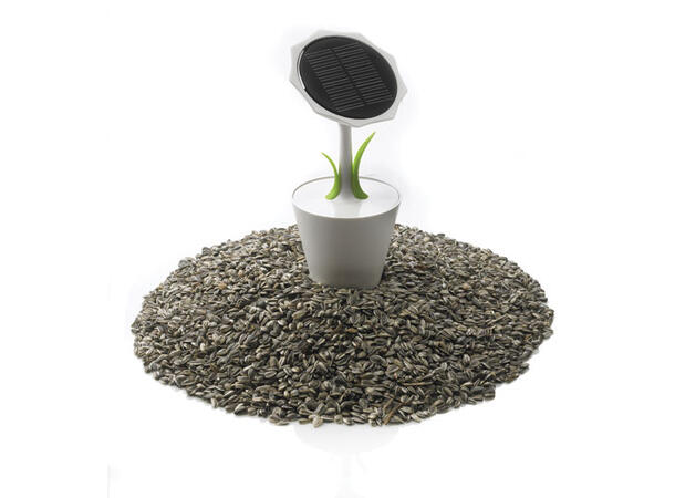 Solar sunflower 