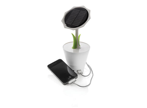 Solar sunflower 