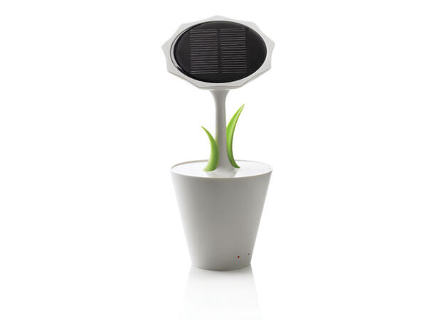 Solar sunflower 